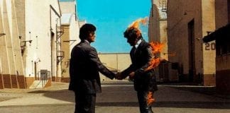 reseña wish you were here